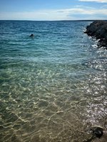 IMG_20240704_100248_731