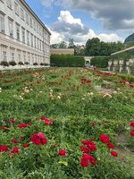 a1df1b0079ff4a4c359721131892a037