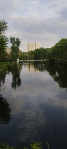IMG_20250509_193134